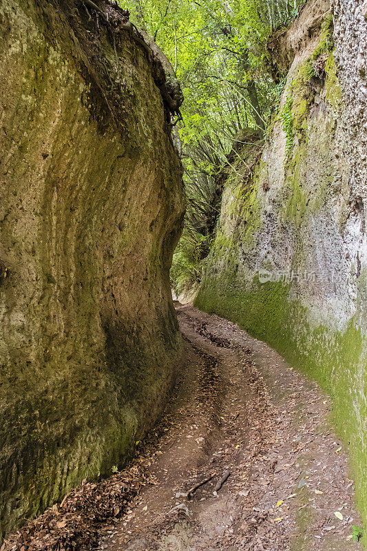 皮蒂利亚诺托斯卡纳的Vie Cave